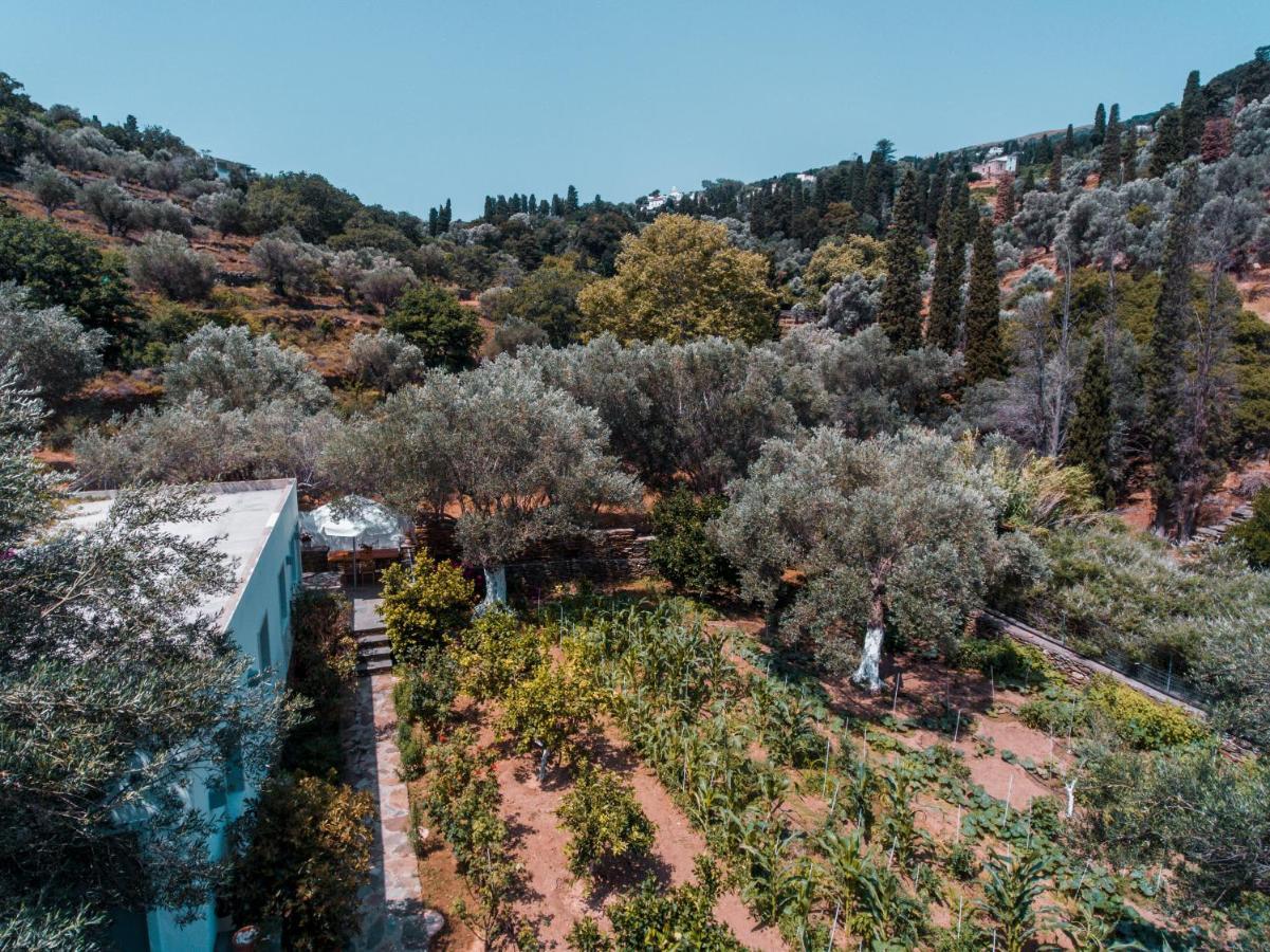 Small Paradise Ándros Extérieur photo