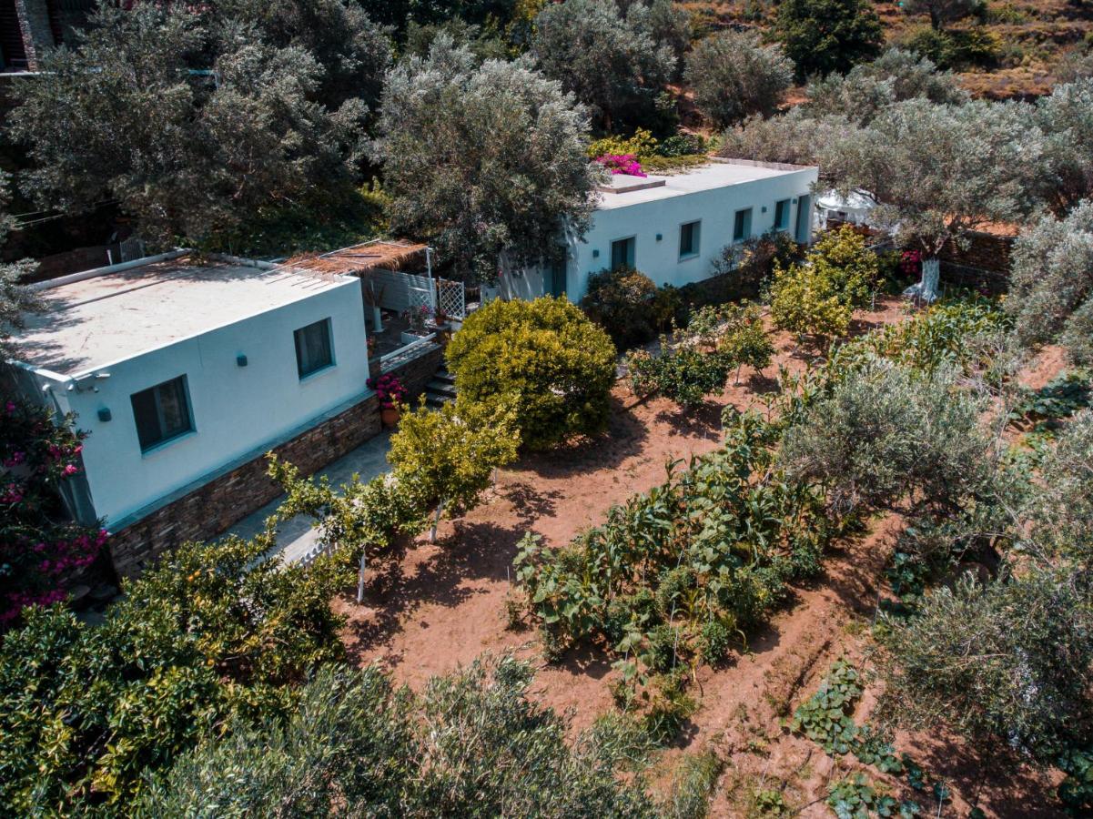 Small Paradise Ándros Extérieur photo