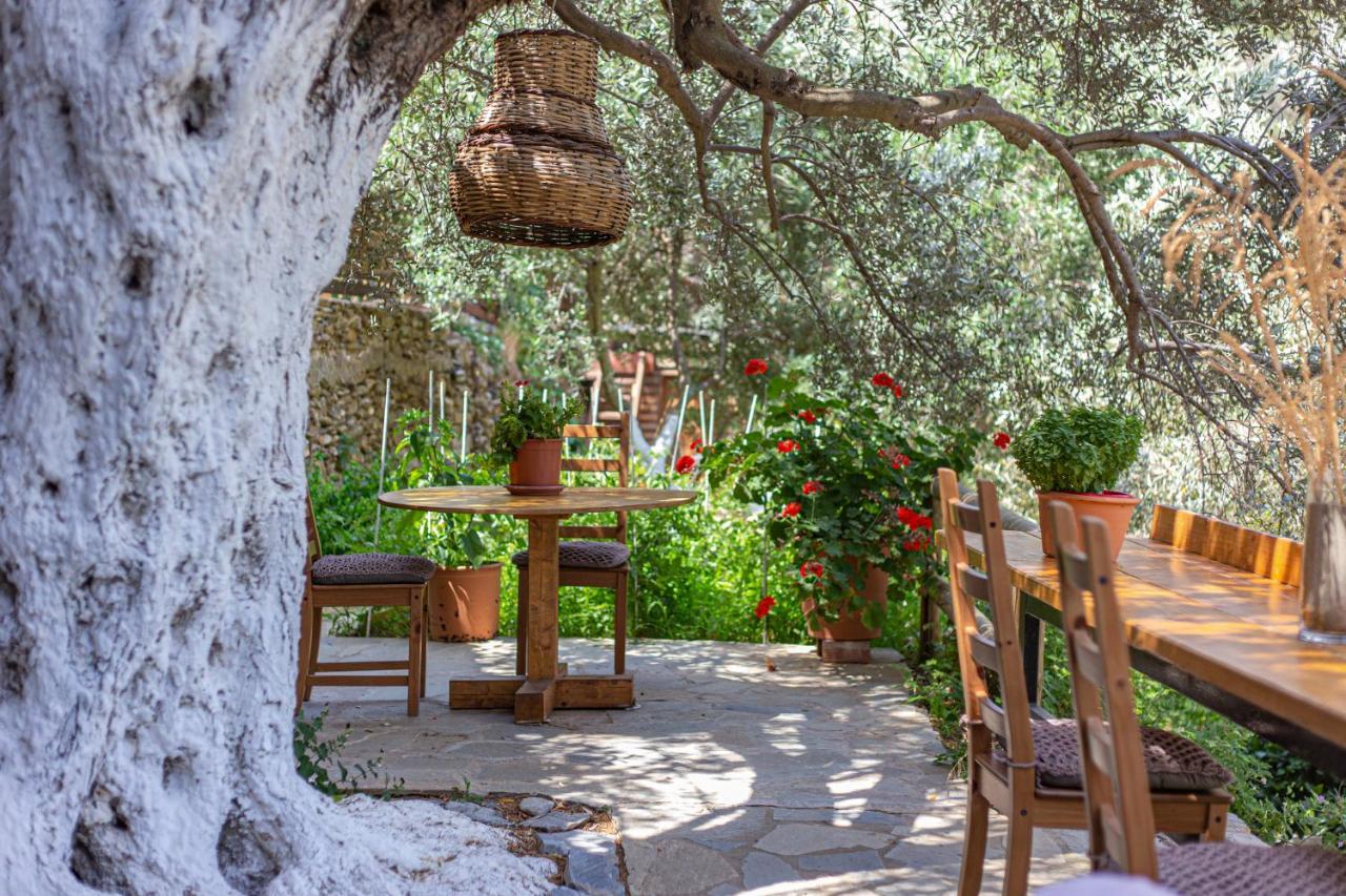 Small Paradise Ándros Extérieur photo