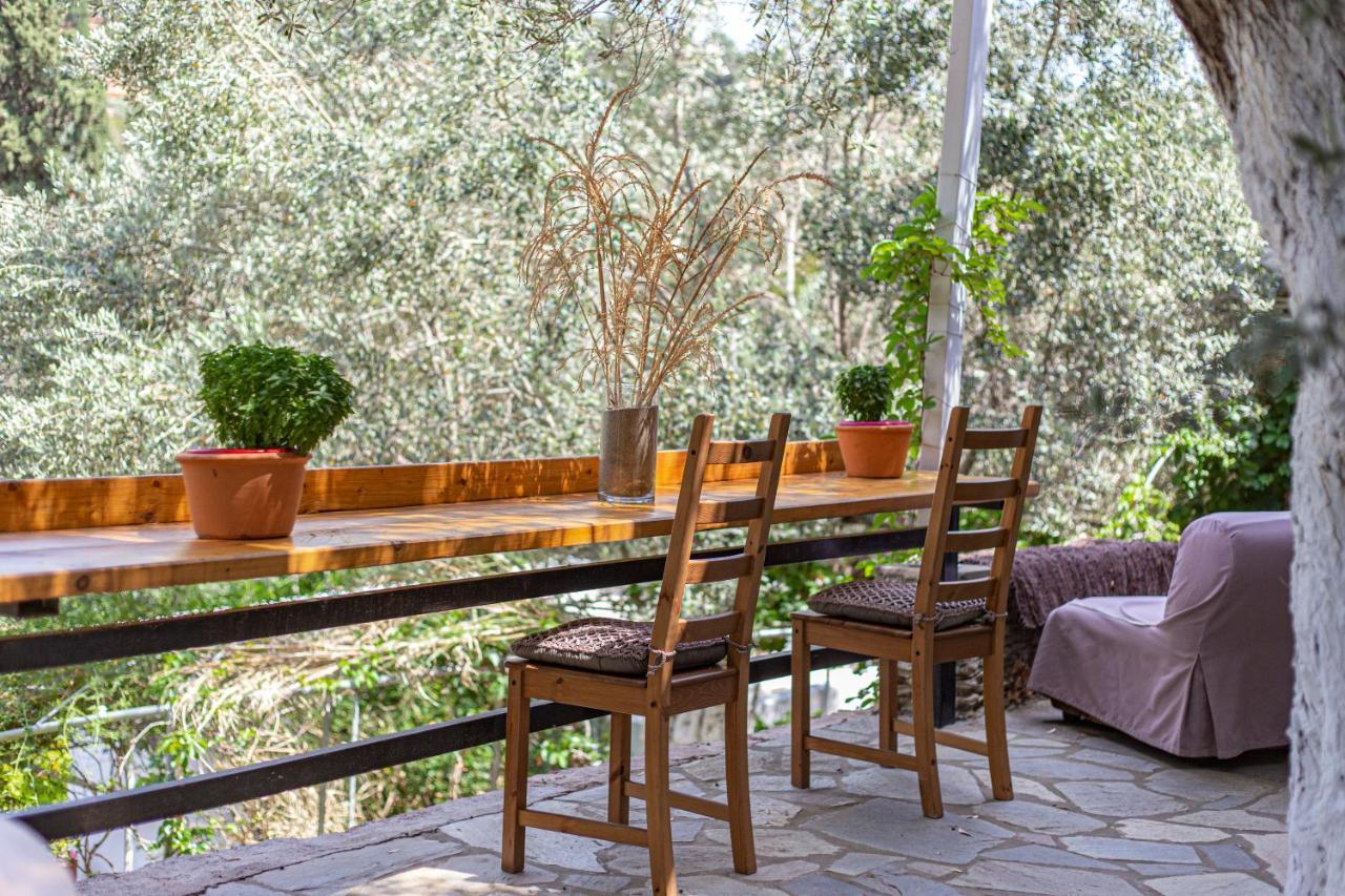 Small Paradise Ándros Extérieur photo